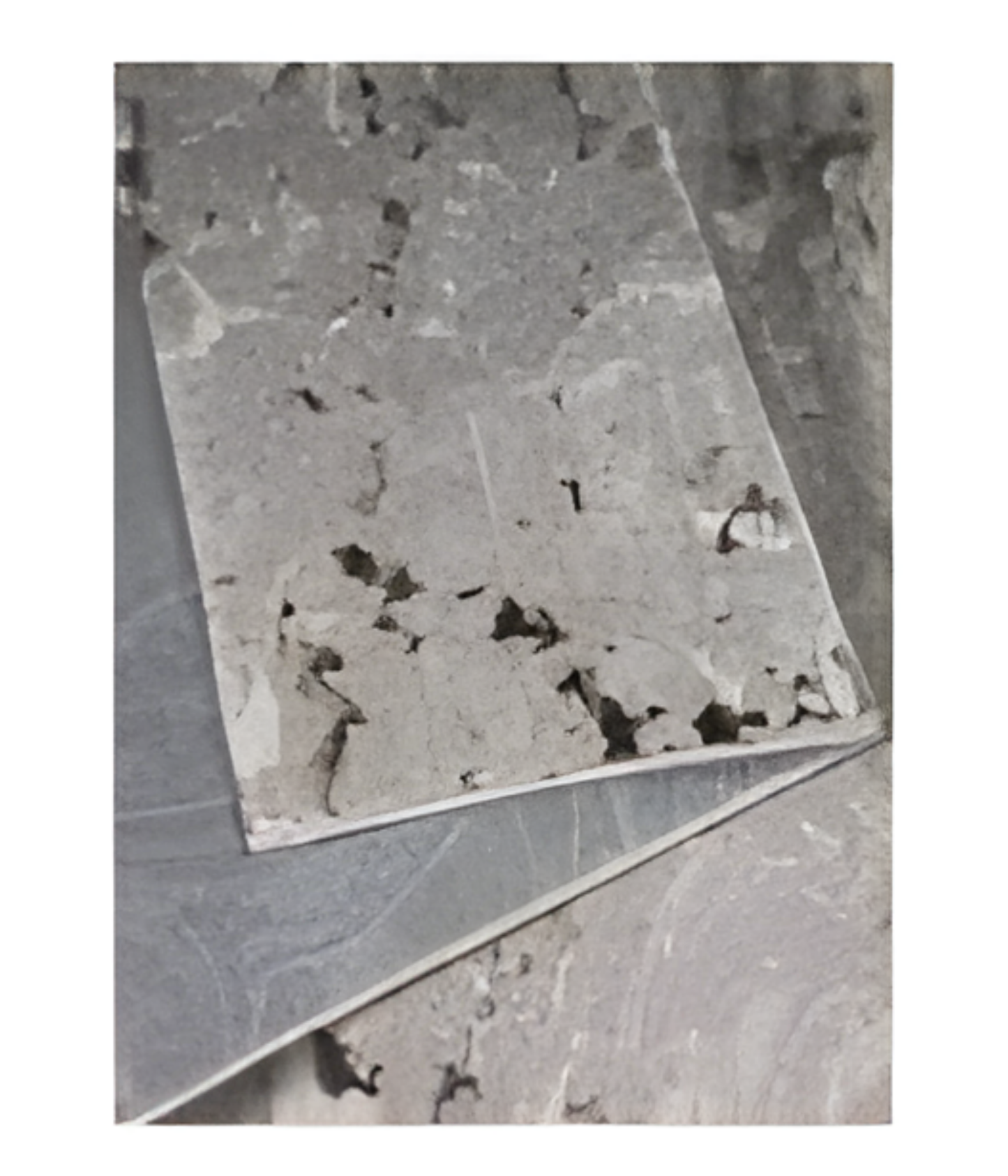 VALENCIAGA 1181 A. BEIGE VIZON / ALFOMBRA
