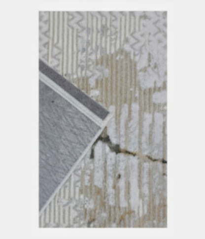 VALENCIAGA 698 BEIGE VIZON / ALFOMBRA