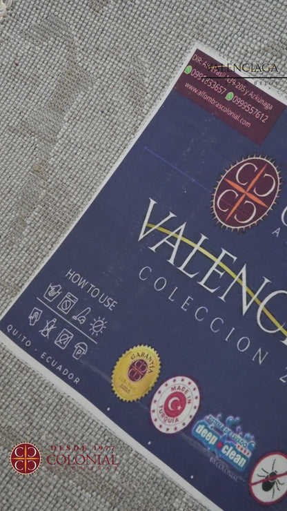 VALENCIAGA 1411 BEIGE VIZON / ALFOMBRA